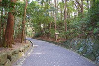Medium_01　県道側からの参道